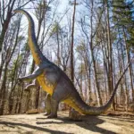 Replici realiste de dinozauri în pădurea Dino Parc Râșnov, o destinație de educație și aventură.