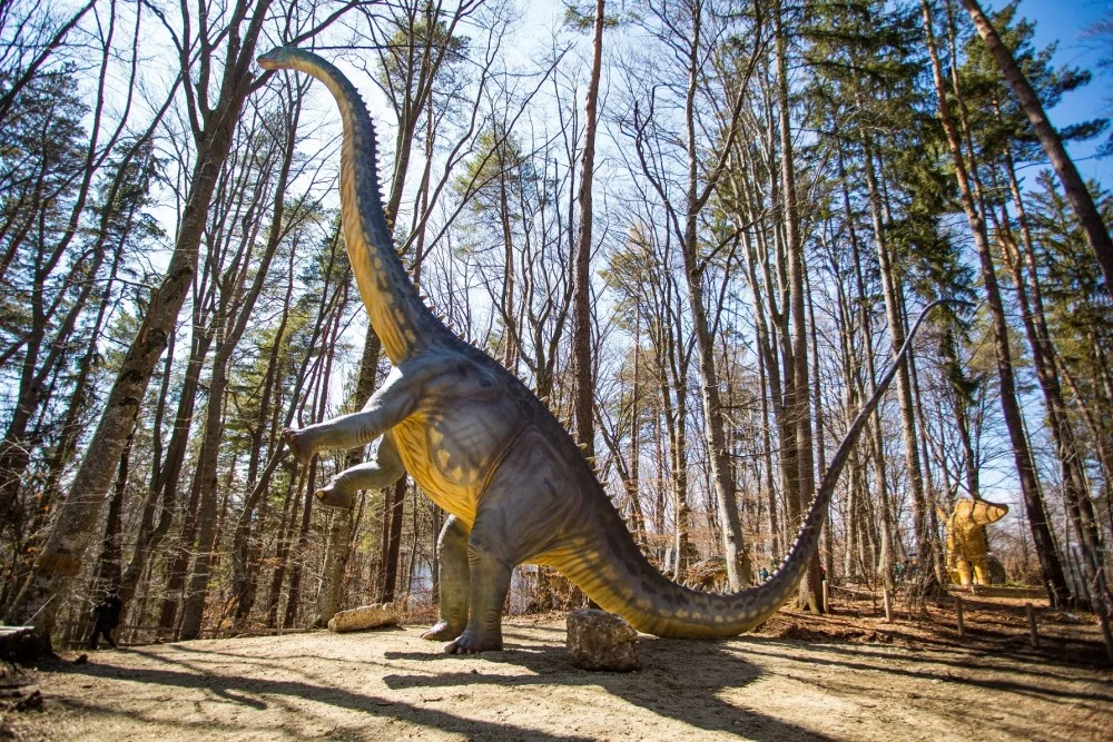 Replici realiste de dinozauri în pădurea Dino Parc Râșnov, o destinație de educație și aventură.